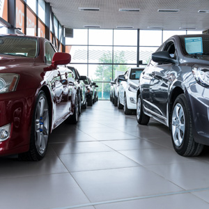 Cars in the Showroom